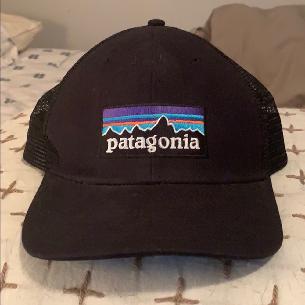 Patagonia trucker hat